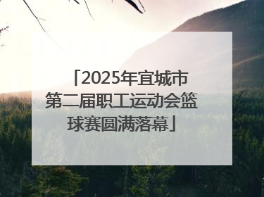 2025年宜城市第二届职工运动会篮球赛圆满落幕