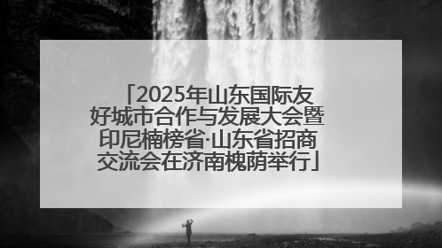 2025年山东国际友好城市合作与发展大会暨印尼楠榜省·山东省招商交流会在济南槐荫举行