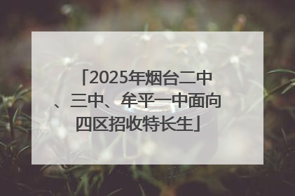 2025年烟台二中、三中、牟平一中面向四区招收特长生