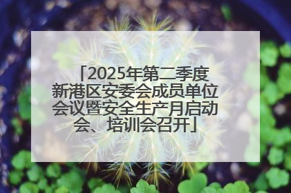 2025年第二季度新港区安委会成员单位会议暨安全生产月启动会、培训会召开