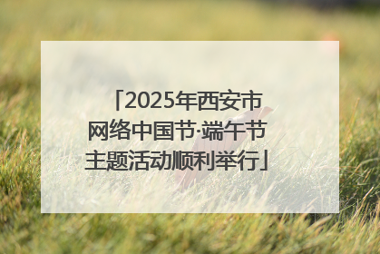 2025年西安市网络中国节·端午节主题活动顺利举行