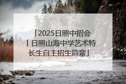2025日照中招会丨日照山海中学艺术特长生自主招生简章