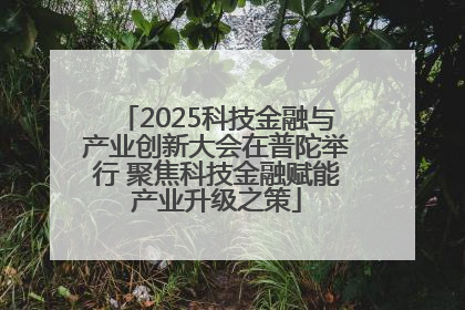2025科技金融与产业创新大会在普陀举行 聚焦科技金融赋能产业升级之策