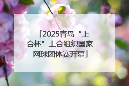 2025青岛“上合杯”上合组织国家网球团体赛开幕