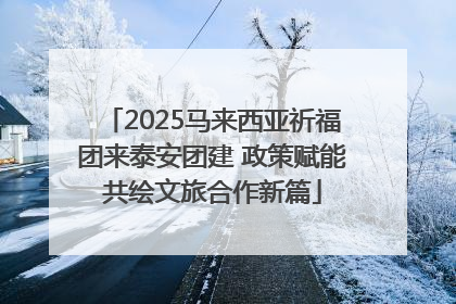 2025马来西亚祈福团来泰安团建 政策赋能共绘文旅合作新篇