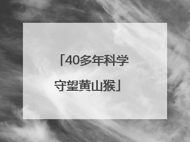 40多年科学守望黄山猴