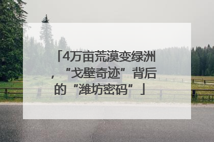 4万亩荒漠变绿洲，“戈壁奇迹”背后的“潍坊密码”