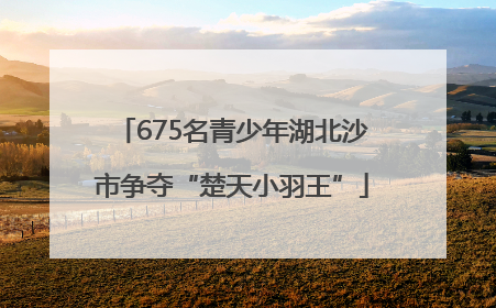 675名青少年湖北沙市争夺“楚天小羽王”