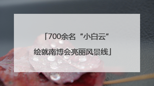 700余名“小白云”绘就南博会亮丽风景线