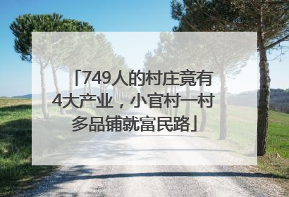 749人的村庄竟有4大产业，小官村一村多品铺就富民路