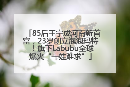 85后王宁成河南新首富，23岁创立泡泡玛特！旗下Labubu全球爆火“一娃难求”