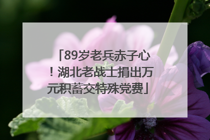 89岁老兵赤子心！湖北老战士捐出万元积蓄交特殊党费