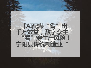 AI配煤“省”出千万效益，数字孪生“看”穿生产风险！宁阳县传统制造业“智”变突围
