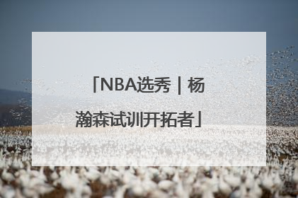 NBA选秀｜杨瀚森试训开拓者