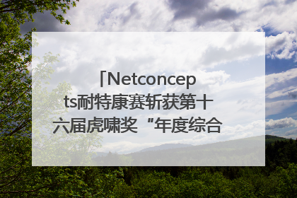 Netconcepts耐特康赛斩获第十六届虎啸奖“年度综合服务商”大奖