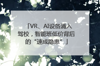VR、AI设备涌入驾校，智能班低价背后的“速成隐患”